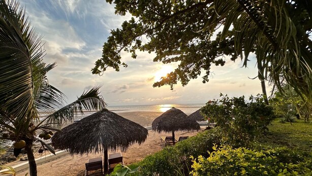 A beach with thatched umbrellas, palm trees, and a bench. - ANKI LODGE (Nosy Be)