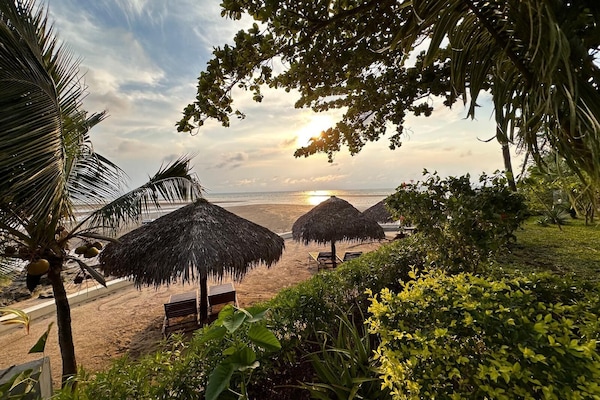 On the beach, sun loungers, beach umbrellas, beach towels