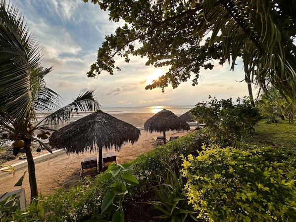 Plage, chaises longues, parasols, serviettes de plage