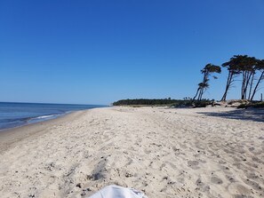 Beach - Holiday Home 'Seeschwalbe' with Private Terrace, Private Garden and Wi-Fi (Fuhlendorf)