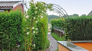 A pathway flanked by lush greenery and a metal archway.