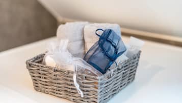 Douche, séchoir à cheveux, serviettes fournies