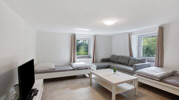 Fernseher