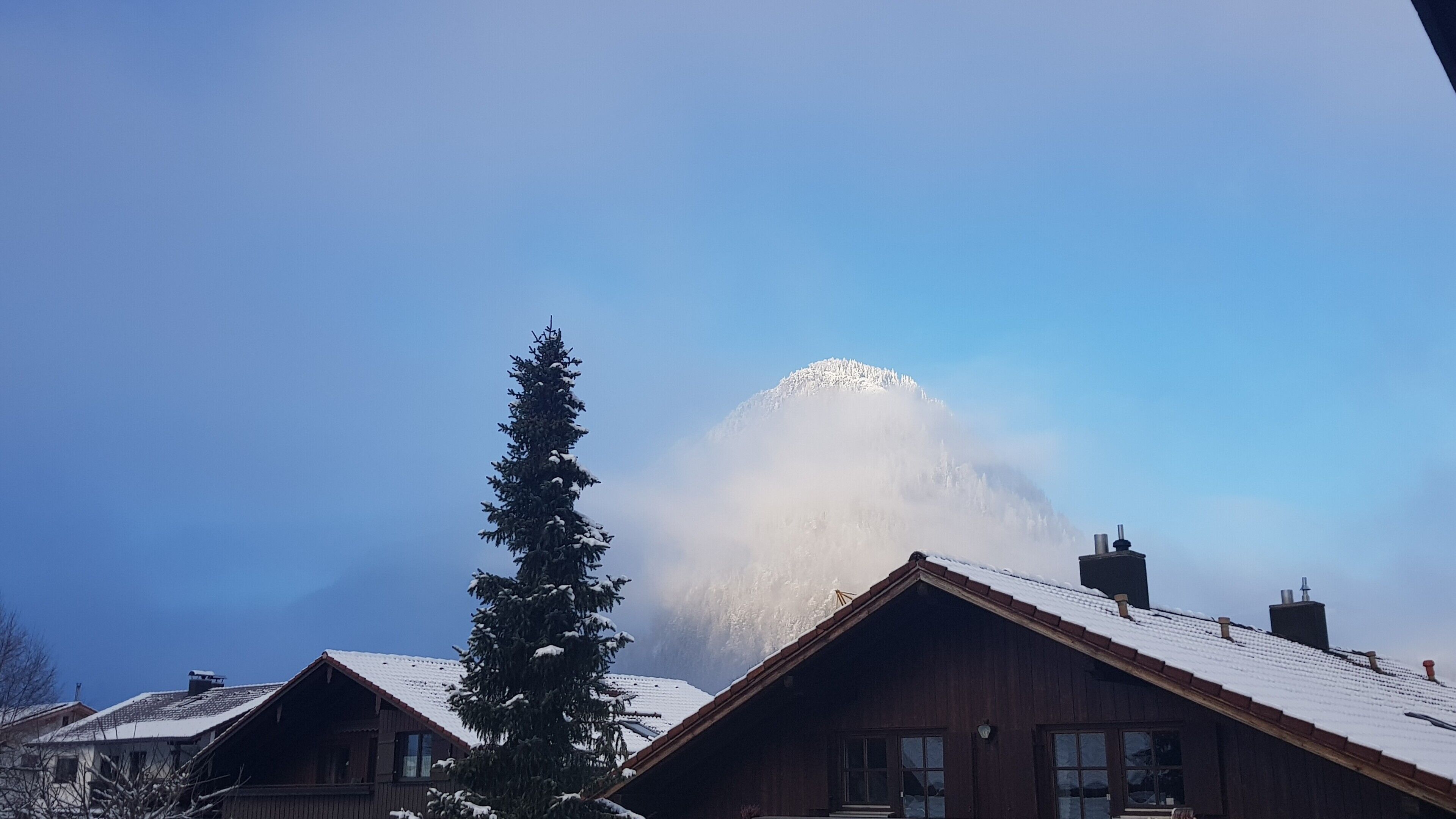 Une cabane en bois, dotée d’un toit en pente, entourée d’arbres couverts de neige et avec une montagne en arrière-plan.