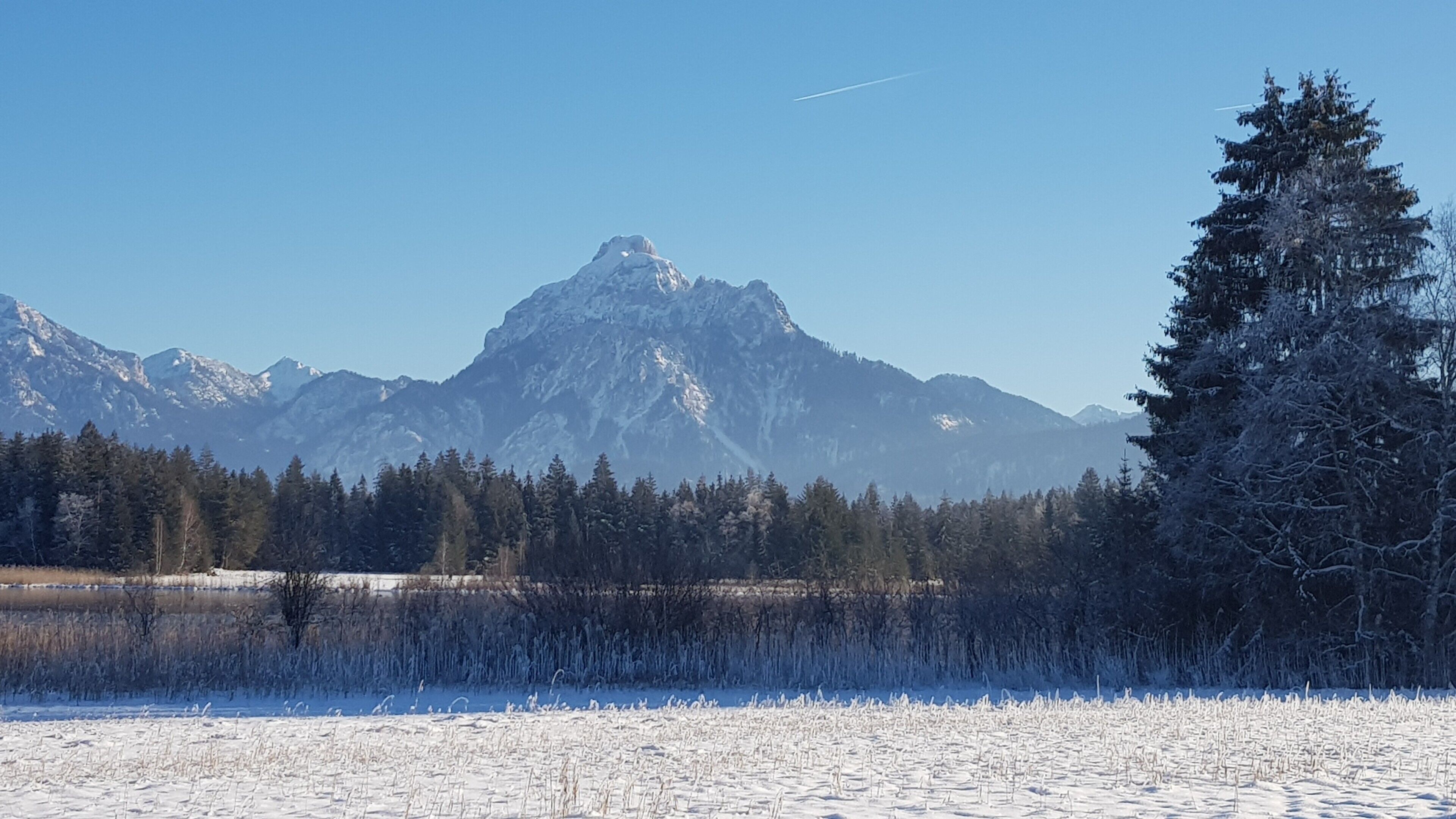 Een besneeerd landschap met een markante bergtop, dicht bos en een heldere lucht.