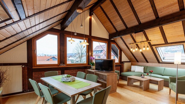 A loft-style room with a dining table, chairs, a sofa, and a TV. - Apartment 'Rhön' with Shared Terrace, Shared Garden and Wi-Fi (Wächtersbach)