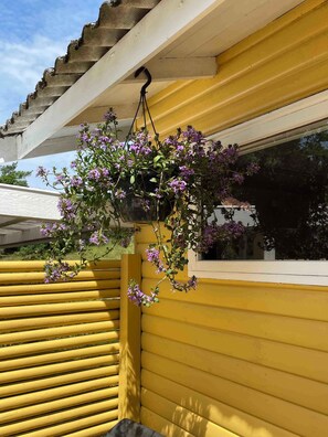 Exterior detail - Cosy cottage in forest just 100 m from the beach (Aakirkeby)