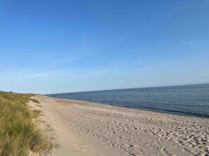 Beach - Cosy cottage in forest just 100 m from the beach (Aakirkeby)