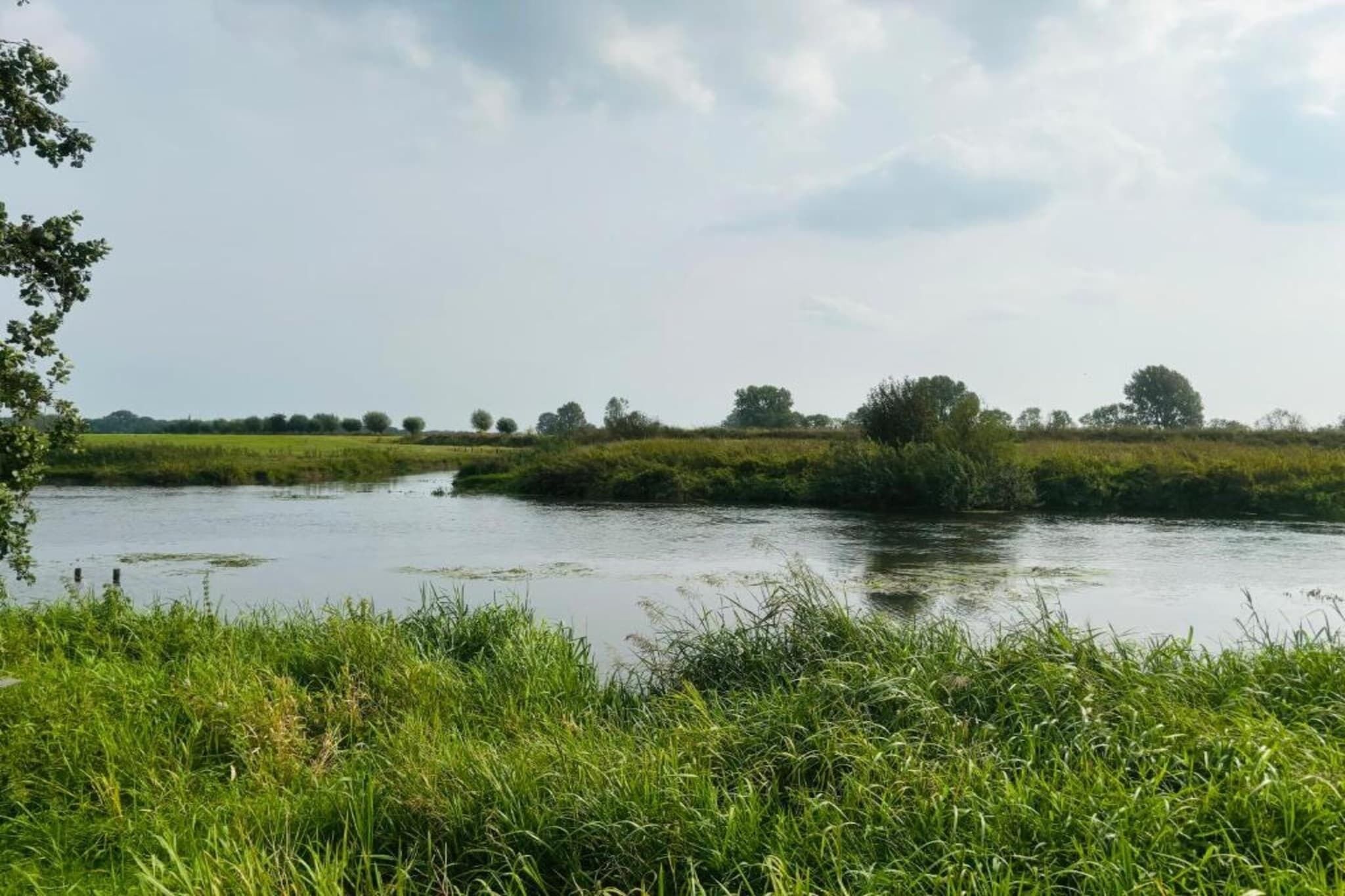 Un río con orillas cubiertas de hierba y árboles al fondo.