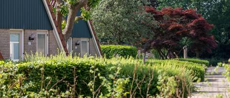 المنطقة المحيطة بالمنشأة