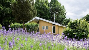 A small yellow cabin with a sloped roof, surrounded by a field of purple flowers. - Ferienhaus mit Sauna im Ferienpark Mirow (Granzow)