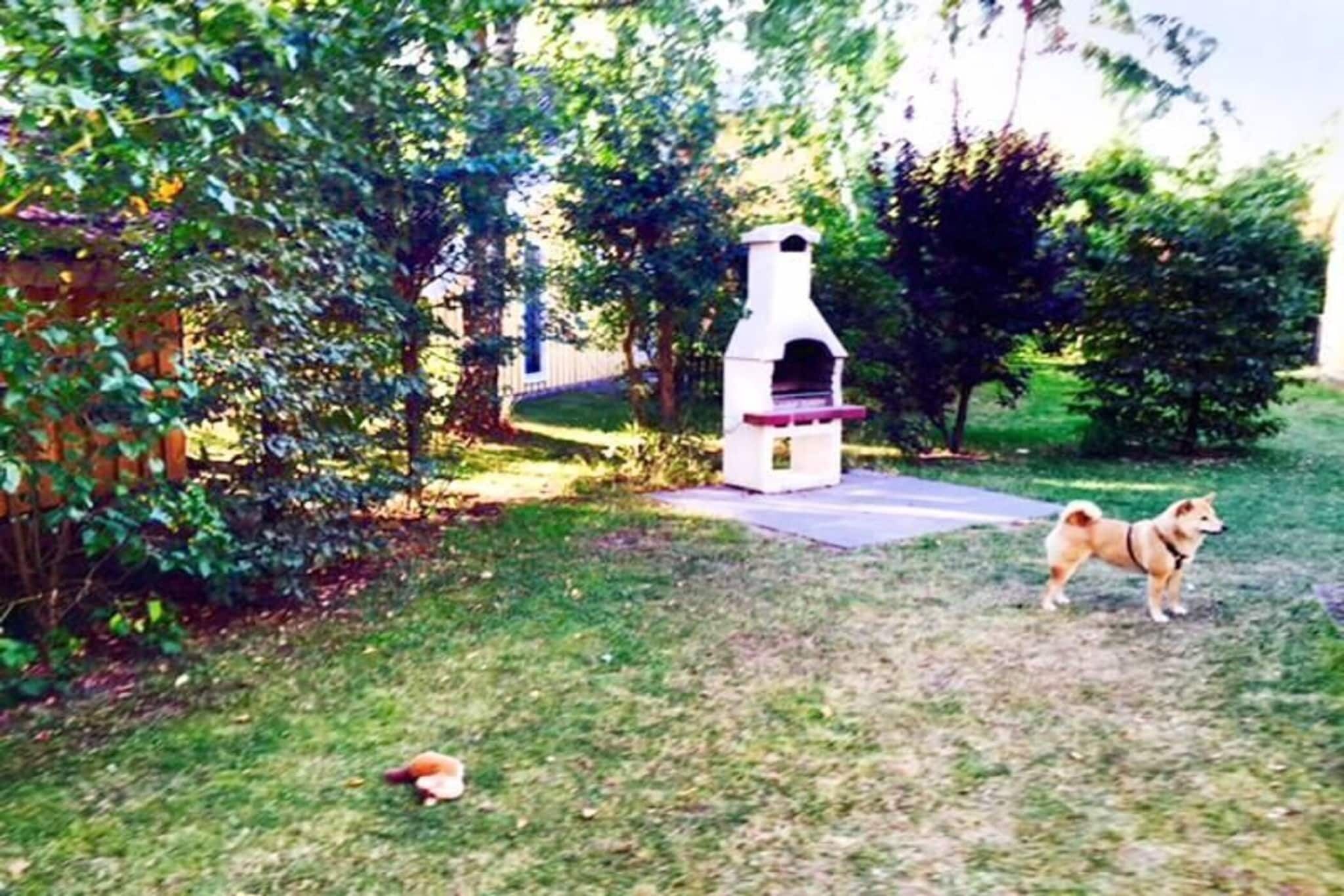 A backyard with a barbecue grill, a dog, and a bird.