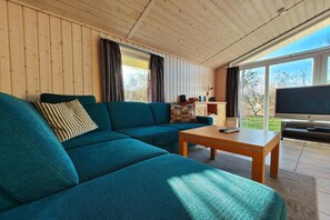 TV connectée, cheminée, lecteur de DVD