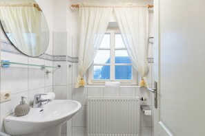 Shower, hair dryer