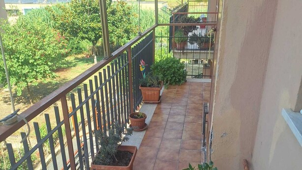 A balcony with potted plants and a view of residential buildings. - Large and bright apartment in residential area, 6 bus stops from metro A (Roma)