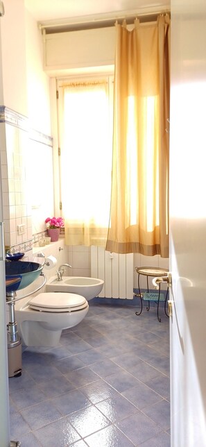 Shower, hair dryer, bidet, towels