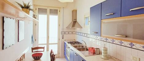 Fridge, oven, stovetop, electric kettle