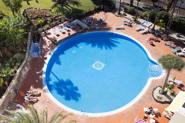 Ein großer, runder Pool, umgeben von Liegestühlen und Sonnenliegen, mit Palmen und einem Steinweg.