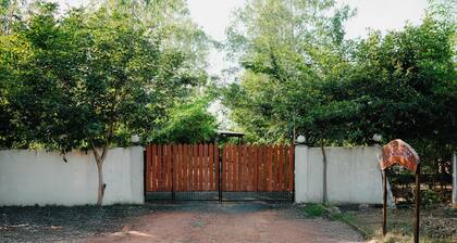 Resort in Tadoba, Moharli