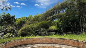 A circular brick structure with a fire pit in the center, surrounded by grass and trees. - Hamarhavida (Imbituba)