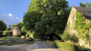 Un camino rural que lleva a un edificio de piedra con techo de paja, rodeado de abundante vegetación y árboles.