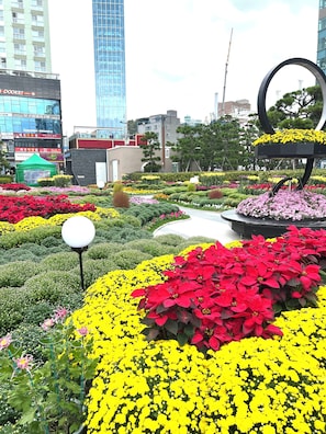 Área da propriedade