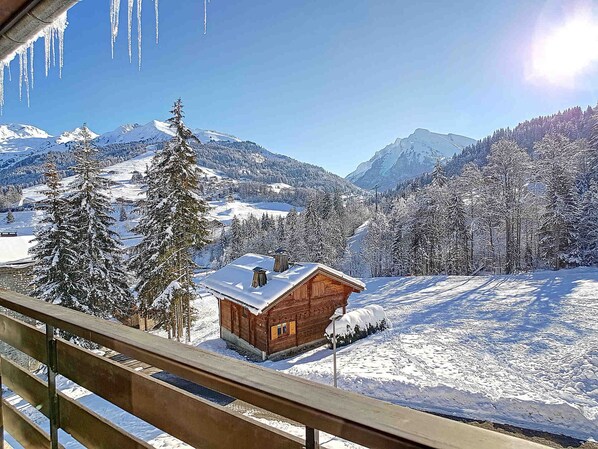 Property grounds - Cozy Duplex in La Clusaz - 6 pers, pets allowed (La Clusaz)