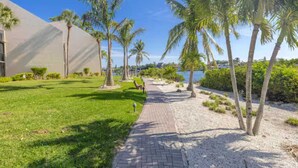 A paved pathway flanked by palm trees and a building with a modern design.