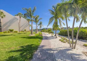 A paved pathway flanked by palm trees and a building with a modern design.