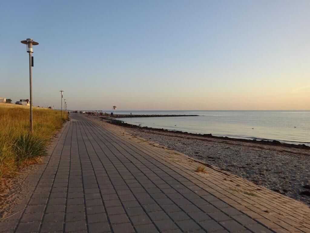 En anlagt sti langs en strand med gadelamper og en klar himmel.