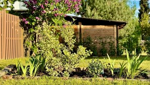 Ein Garten mit verschiedenen Pflanzen, einem Holzzaun und einem Gartenhaus.
