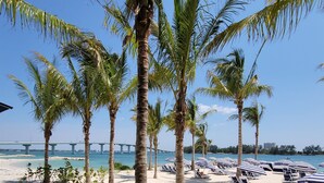 Ein Strand mit Palmen, Liegestühlen und einer Brücke im Hintergrund.