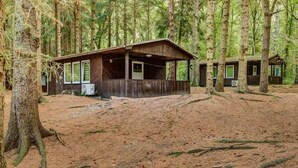 A rustic cabin with a wooden exterior, surrounded by tall trees in a forested area. - Feriendorf Fynnus (Dranske)