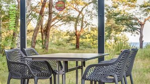 An outdoor dining area with a table and four chairs, surrounded by trees and a view of the sea. - Feriendorf Fynnus (Dranske)