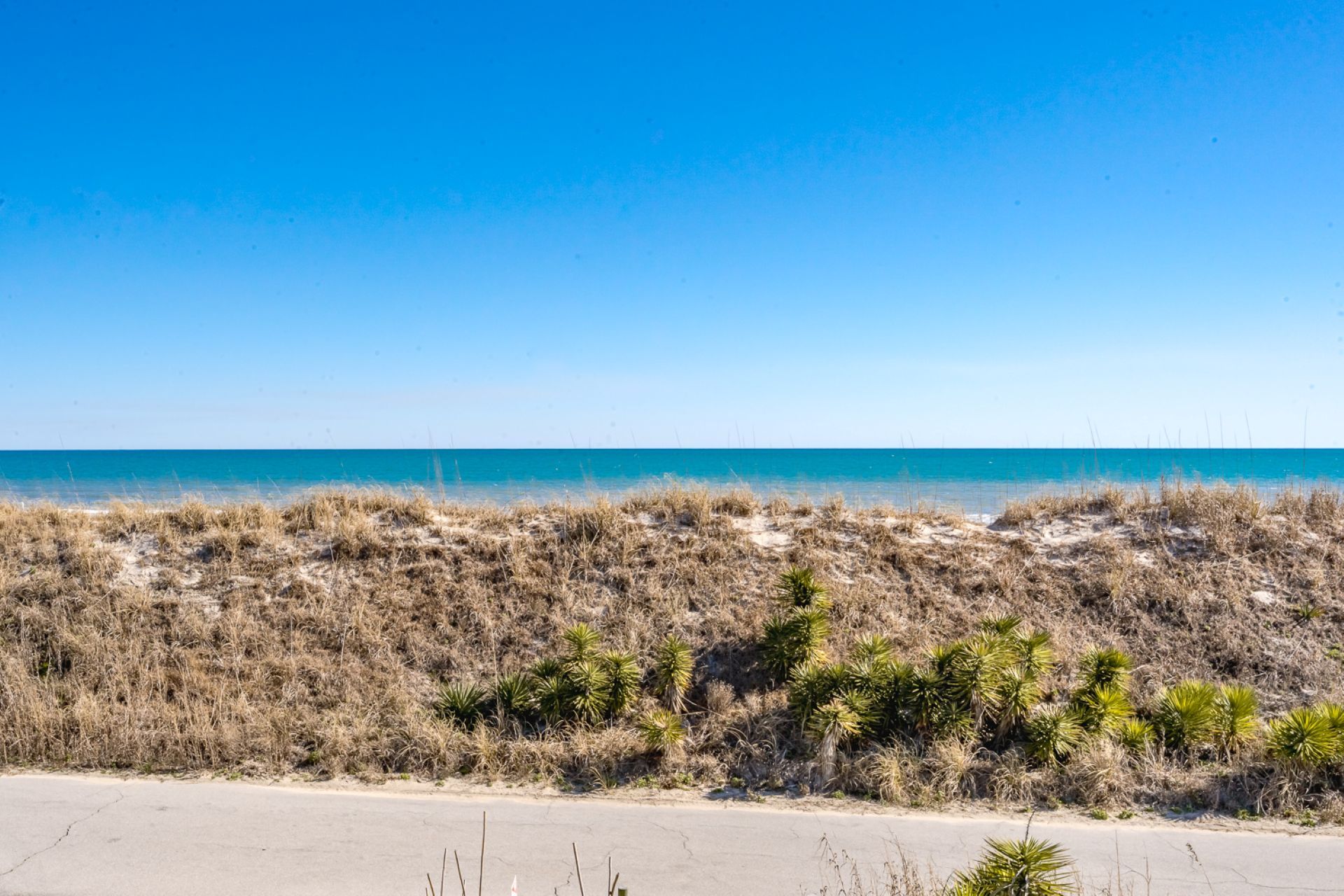 Ein Strand mit trockenem Gras und kleinen grünen Pflanzen, ein klarer, blauer Himmel und ein ruhiges Meer.