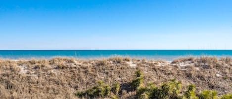 Ein Strand mit trockenem Gras und kleinen grünen Pflanzen, ein klarer, blauer Himmel und ein ruhiges Meer.