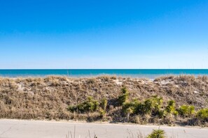 Une plage avec de l’herbe sèche et de petites plantes vertes, un ciel bleu dégagé et une mer calme.
