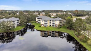 Exterior - The Urban Oasis Serene Views! (Tampa)