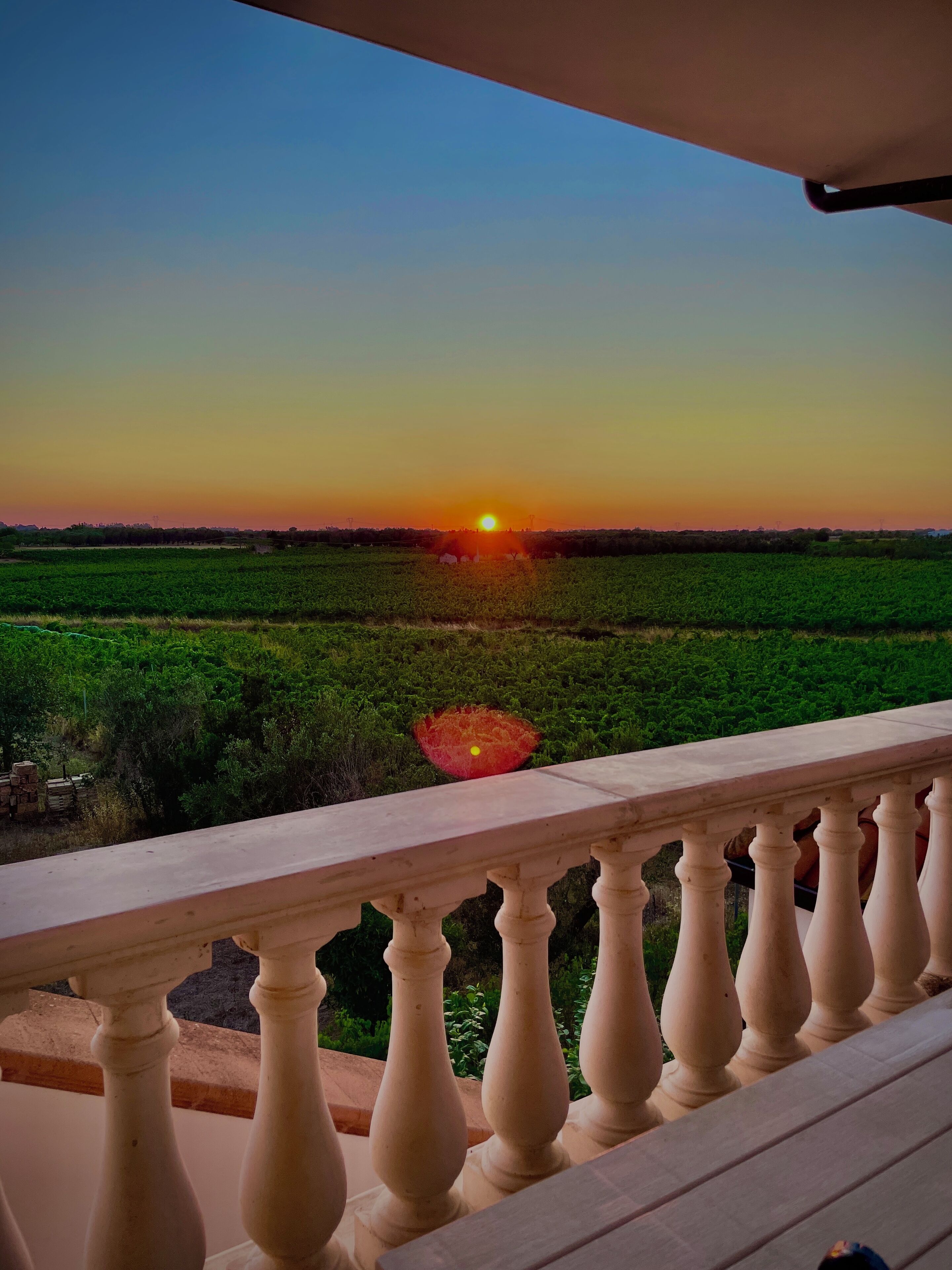 Parco della struttura