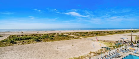 Appartement (1 Bedroom) | Interieur