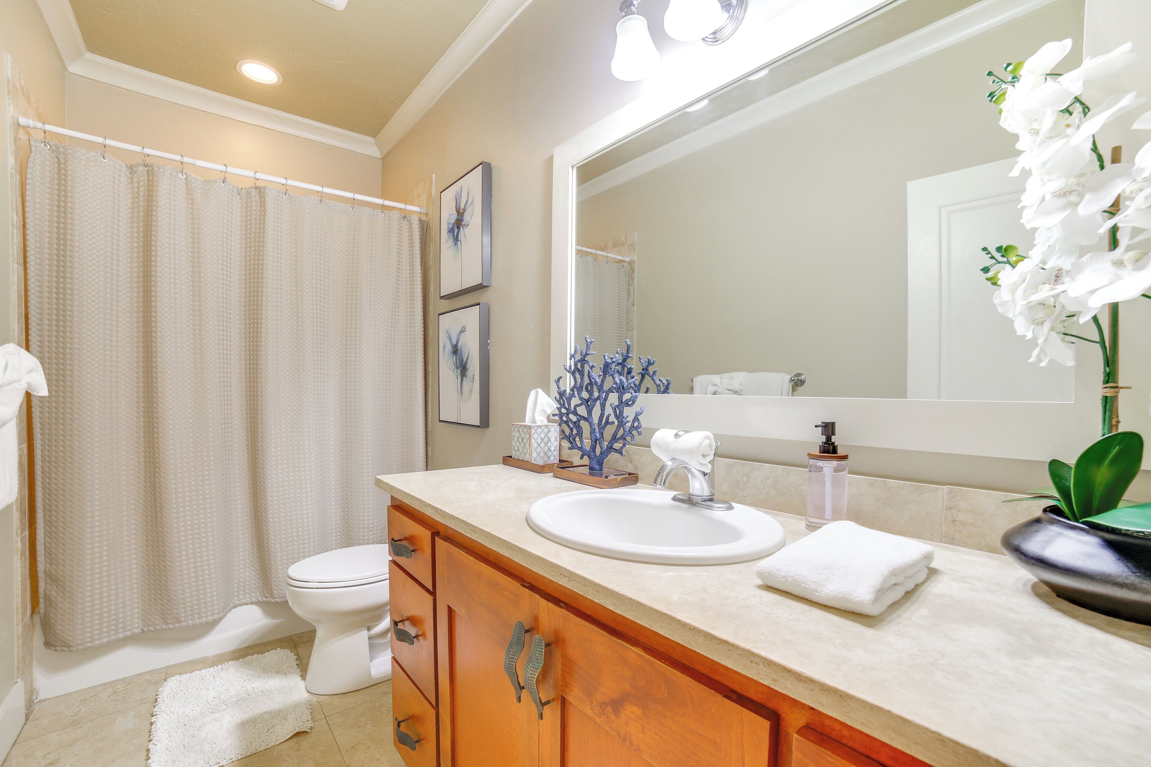 A bathroom with a toilet, sink, and shower curtain.