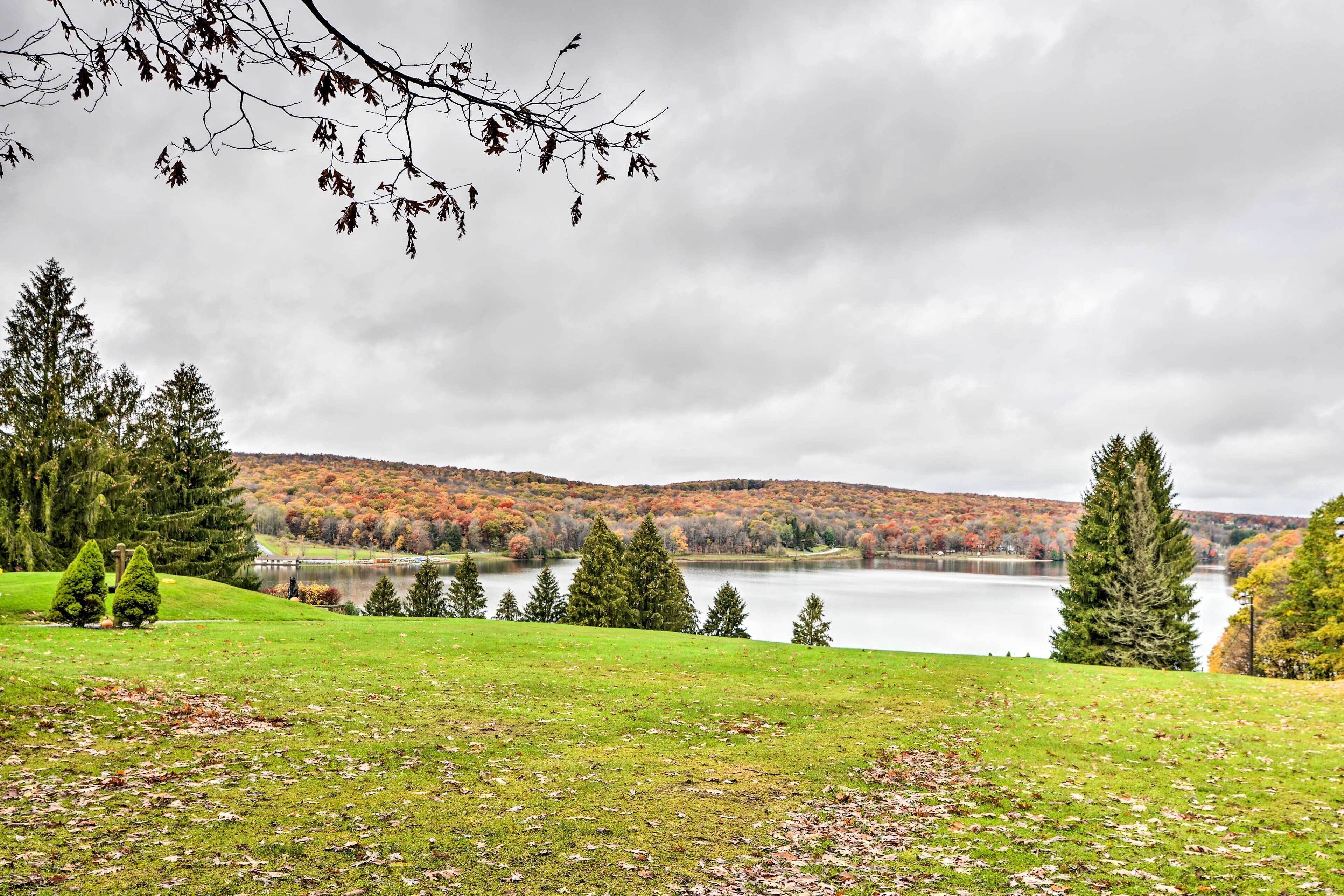 Un paysage paisible avec un lac, des arbres et un premier plan verdoyant.