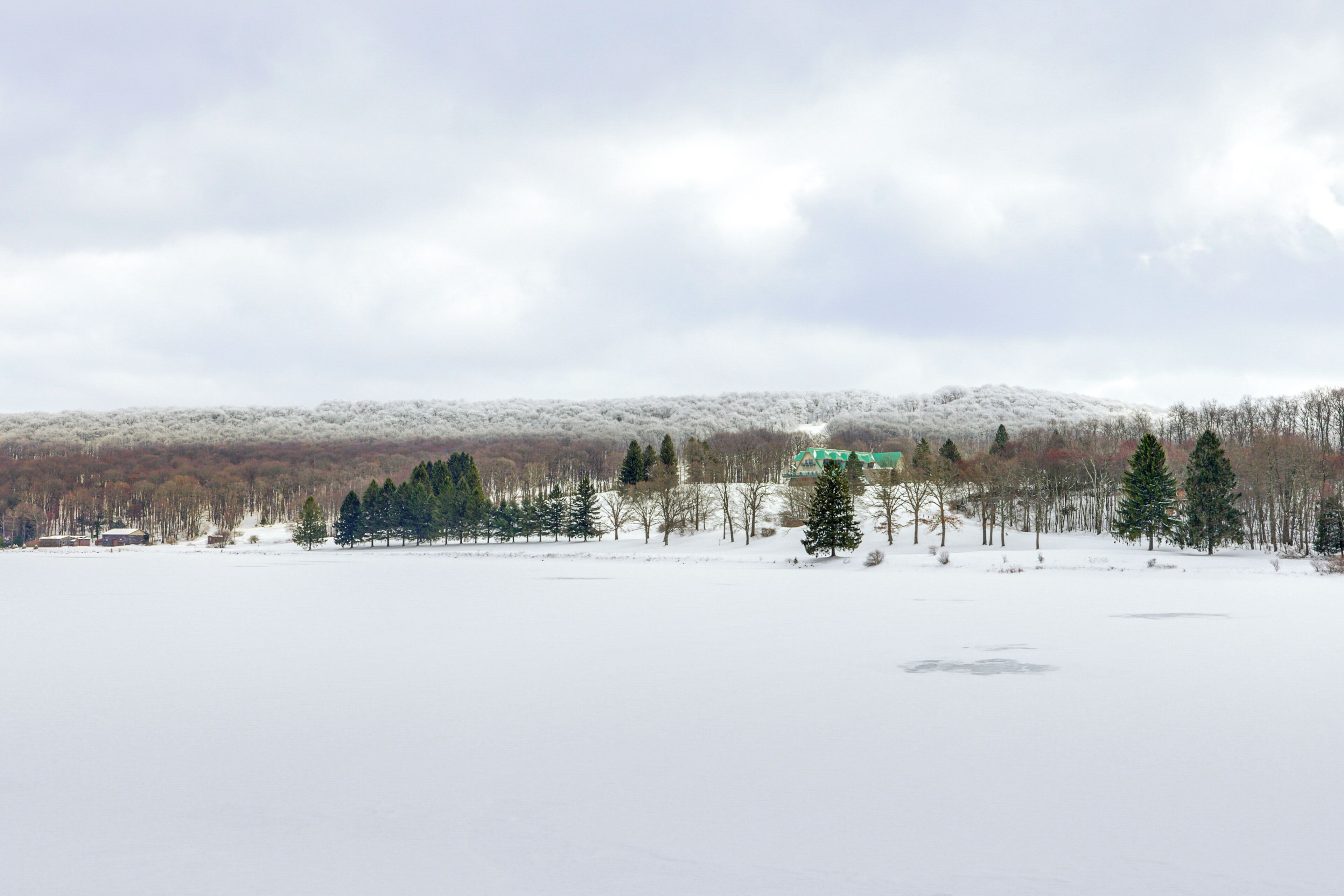 Ett snöigt landskap med en grön byggnad och träd.
