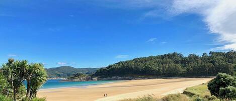 A beach with a clear sky, a sandy shore, and a forested hill in the background.