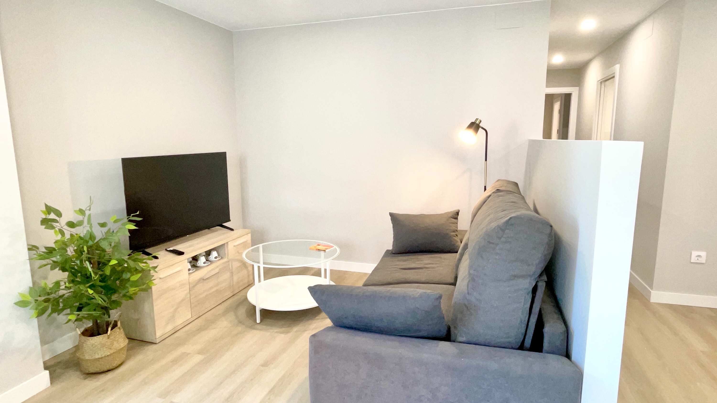 A modern living room with a flat-screen TV, a grey sofa, a small white coffee table, and a potted plant.