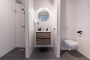 Buồng tắm vòi sen, máy sấy tóc, khăn tắm, giấy vệ sinh 
