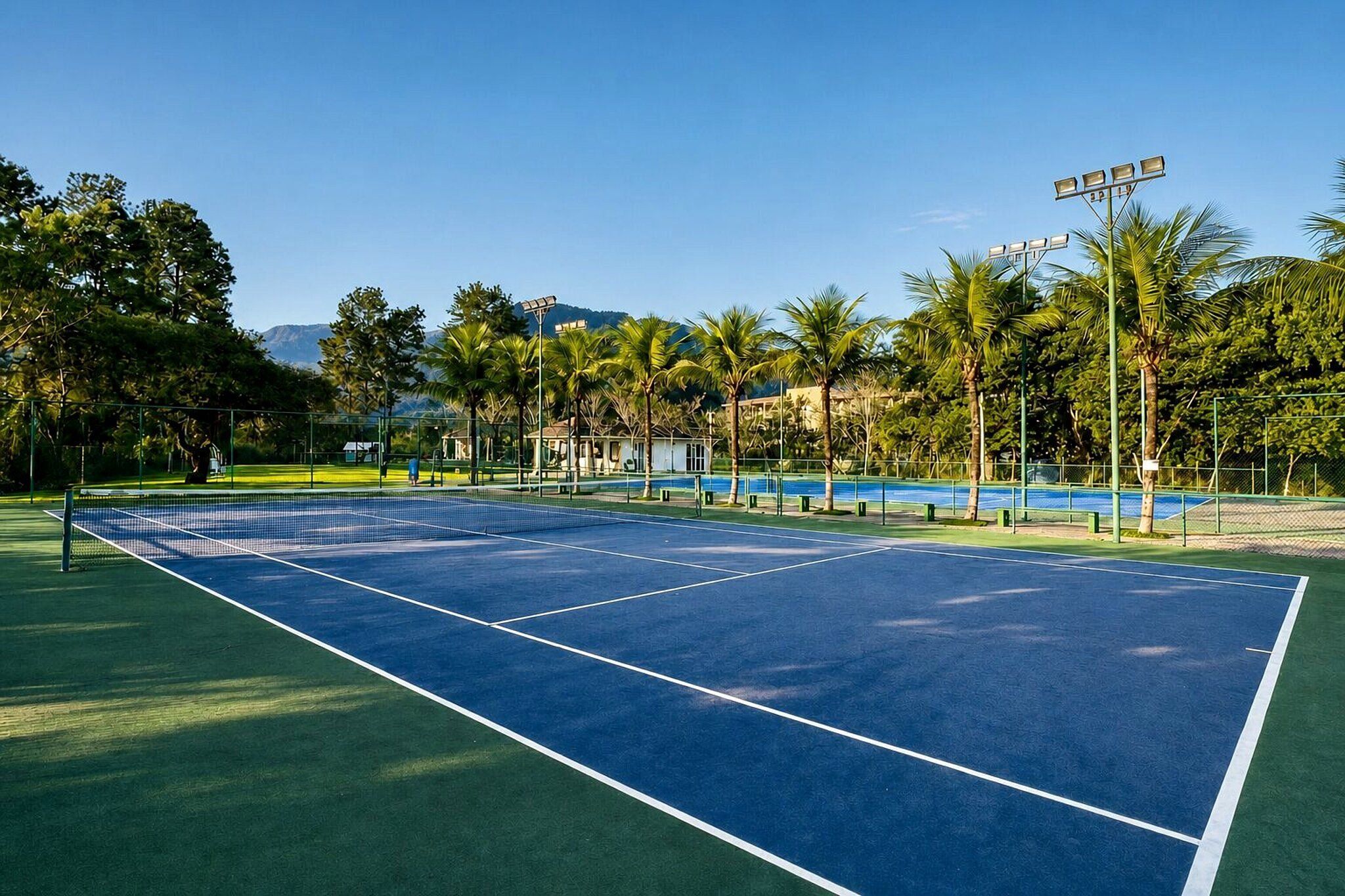 Een tennisbaan met net, omringd door palmbomen en een zwembad.