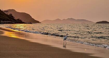 Reserva do Sahy, Condado