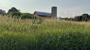 A rural landscape with a barn and silo.