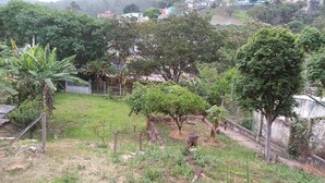 A residential area with a grassy yard, trees, and a fence. - Apartment 4 Great Location in Alumínio (Alumínio)
